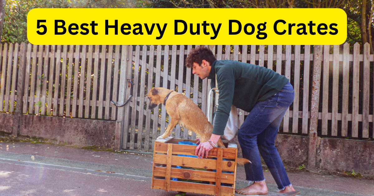You are currently viewing 5 Best Heavy Duty Dog Crates