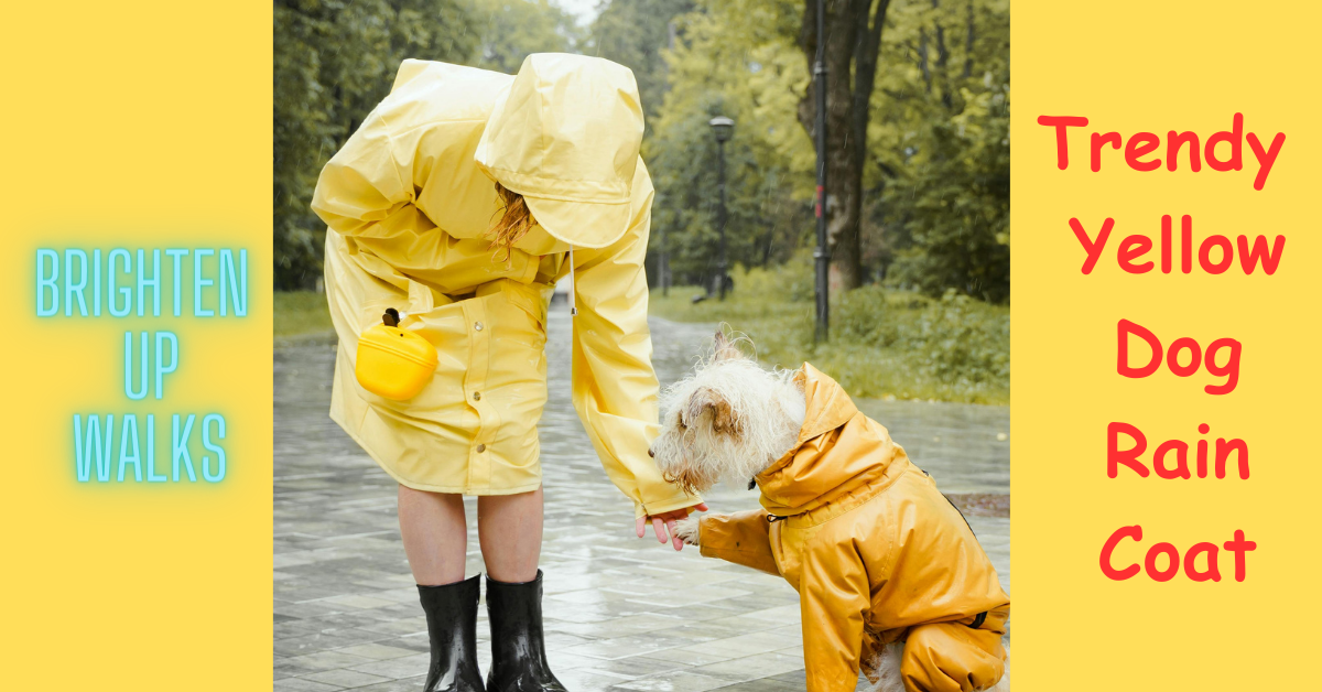 Read more about the article Brighten Up Walks with these Trendy Yellow Dog Rain Coats