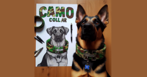 Read more about the article Camo Dog Collars for Every Adventure!