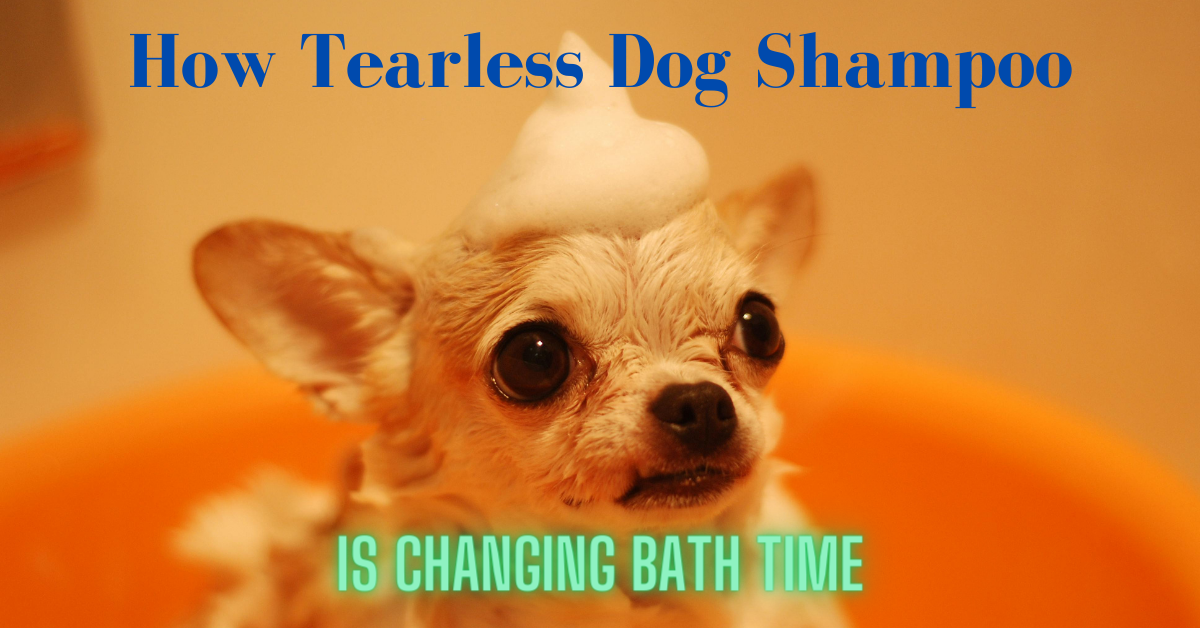 You are currently viewing How Tearless Dog Shampoo is Changing Bath Time