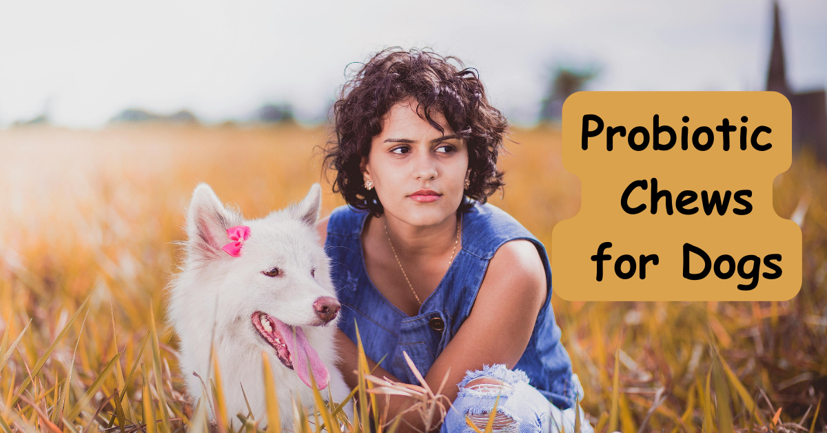 Read more about the article The Scoop on Probiotic Chews for Dogs!
