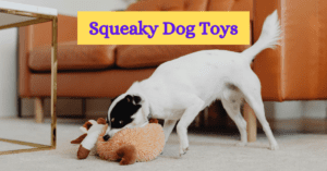 Read more about the article Alligator Crocodile Squeaky Dog Toy