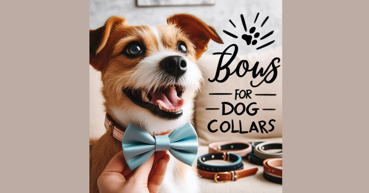 You are currently viewing Discover the Cutest Bow Options for Dog Collars!