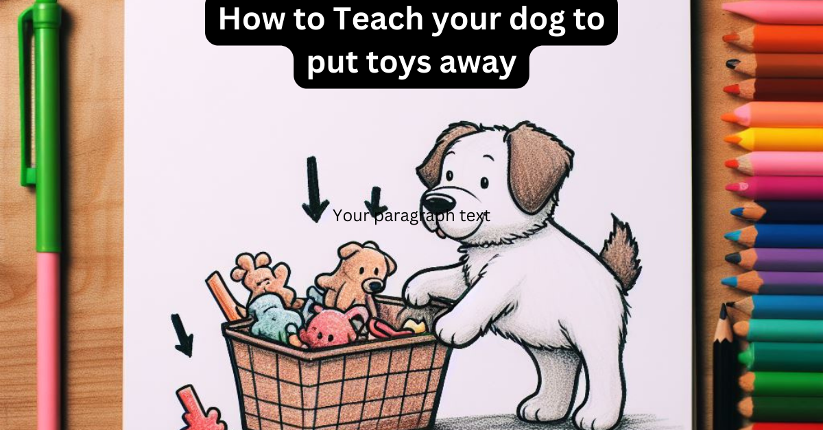 Read more about the article How to Teach Your Dog to Put Toys Away