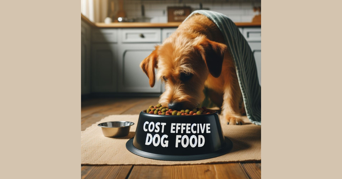 You are currently viewing Top 4 Best Cost Effective Dog Food