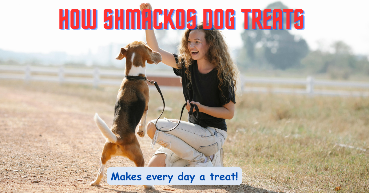 Read more about the article Why Schmackos Dog Treats Are Top Dog!