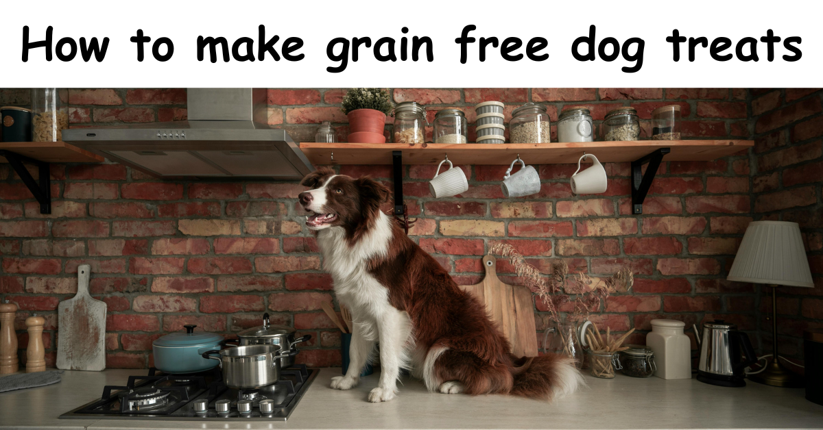 Read more about the article This is how to make grain free dog treats