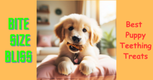 Read more about the article Bite Size Bliss – Best Puppy Teething Treats