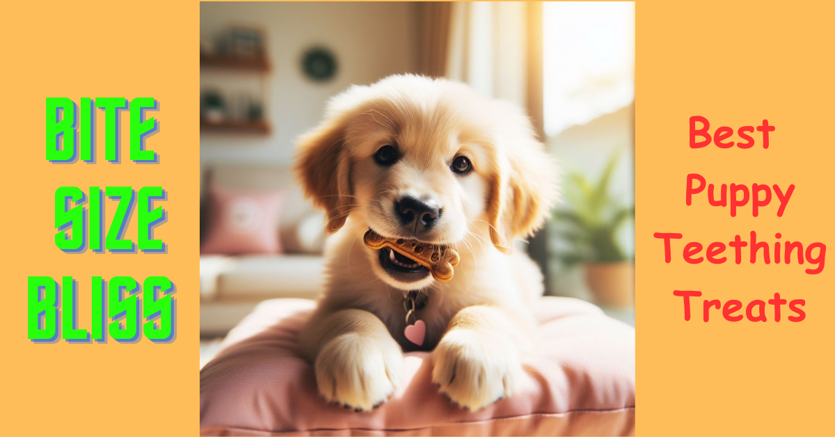 You are currently viewing Bite Size Bliss – Best Puppy Teething Treats