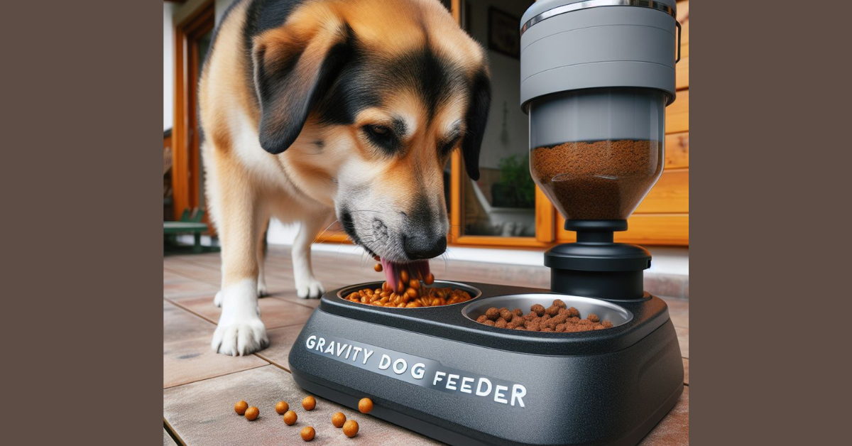 Read more about the article Most Popular Gravity Dog Feeder for Busy Pet Parents