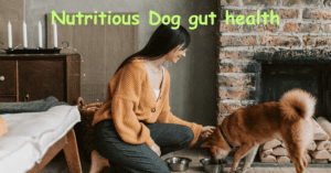 Read more about the article Nutritious Dog gut health Chews Your Dog Will Love