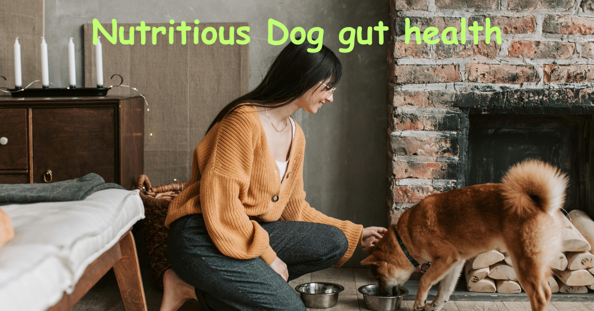 You are currently viewing Nutritious Dog gut health Chews Your Dog Will Love