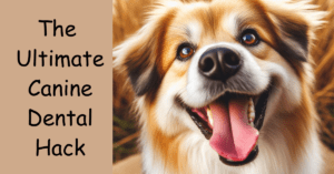 Read more about the article The Ultimate Canine Dental Hack: Finger Toothbrushes for Dogs