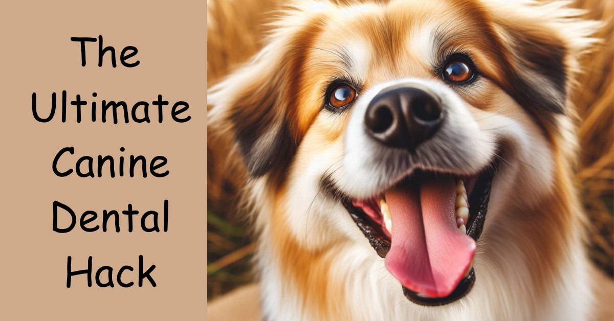 Read more about the article The Ultimate Canine Dental Hack: Finger Toothbrushes for Dogs