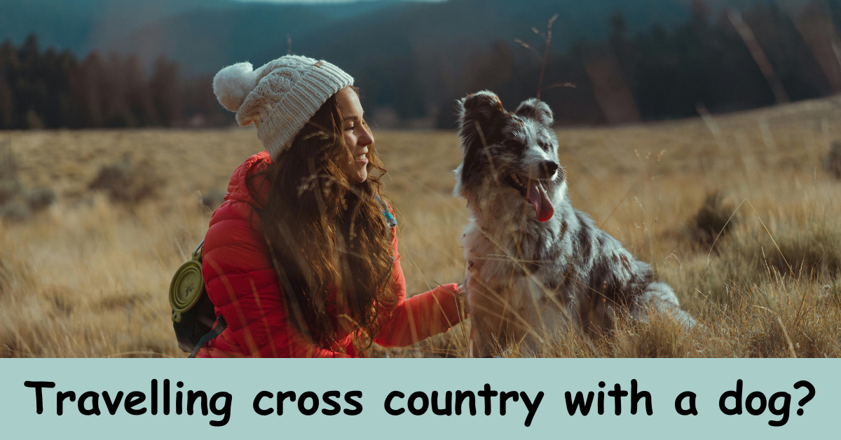 Read more about the article From Coast to Coast: Travelling cross country with a dog