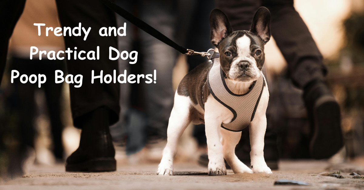 You are currently viewing Trendy and Practical Dog Poop Bag Holders!