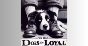Read more about the article Uncovering 10 Reasons why dogs are loyal