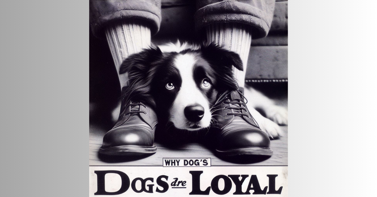 You are currently viewing Uncovering 10 Reasons why dogs are loyal