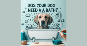 Read more about the article Dirty Dog Alert: Signs your dog needs a bath