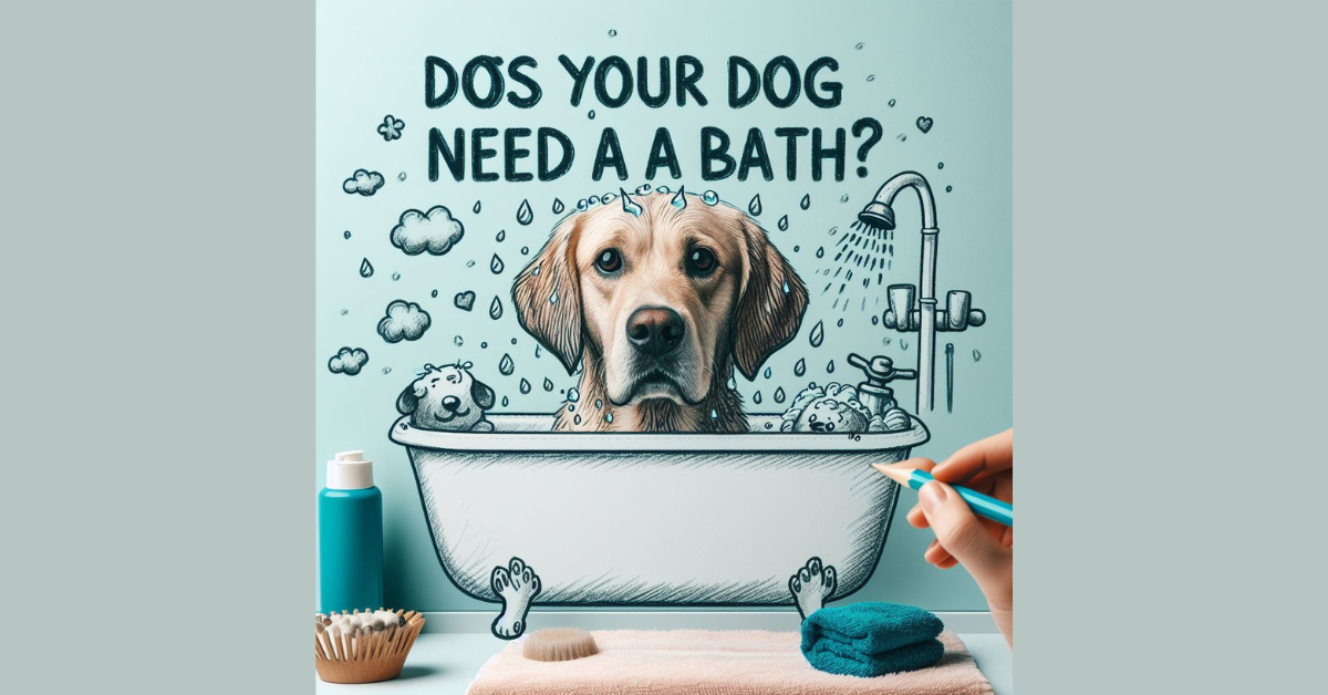 You are currently viewing Dirty Dog Alert: Signs your dog needs a bath