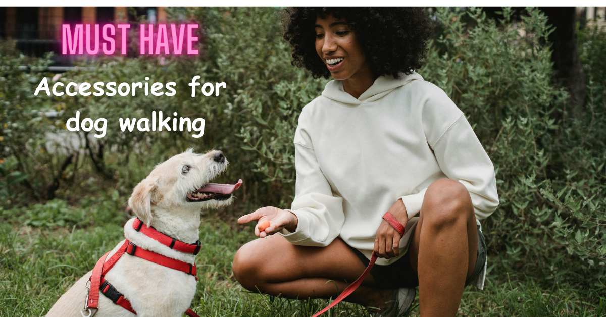 You are currently viewing Must Have Accessories for Dog Walking