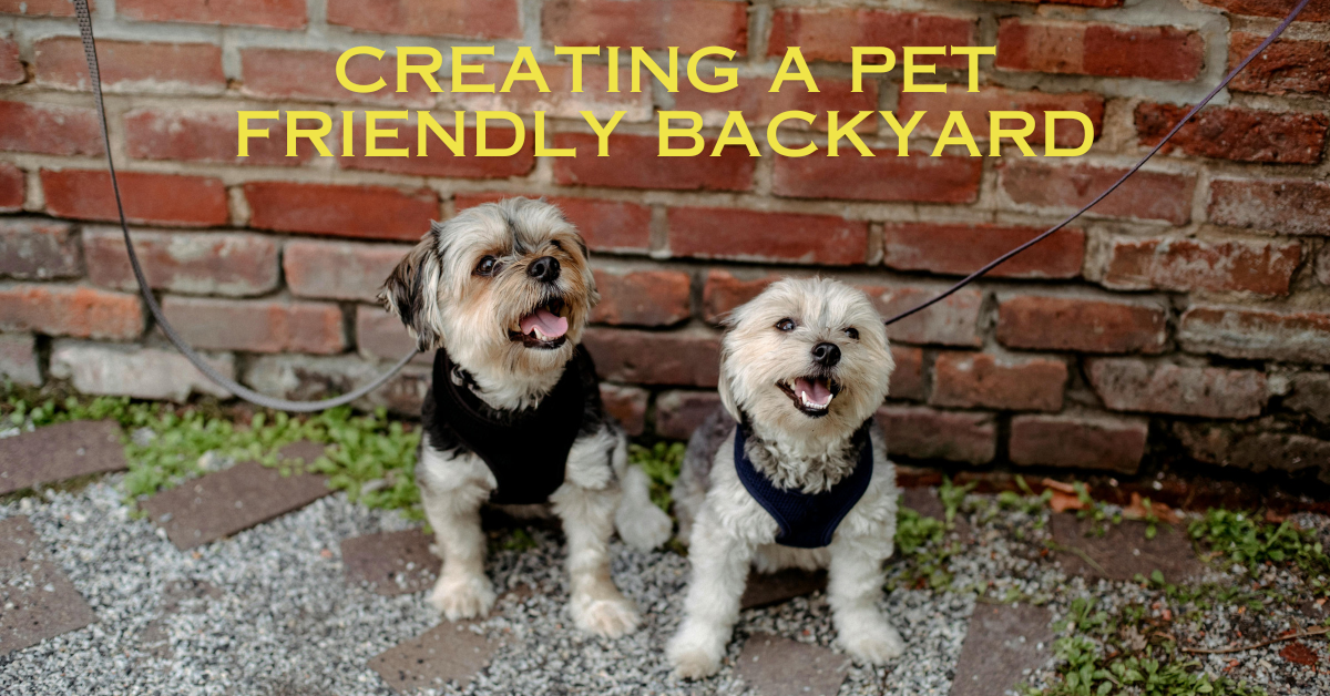 You are currently viewing Creating a Pet Friendly Backyard