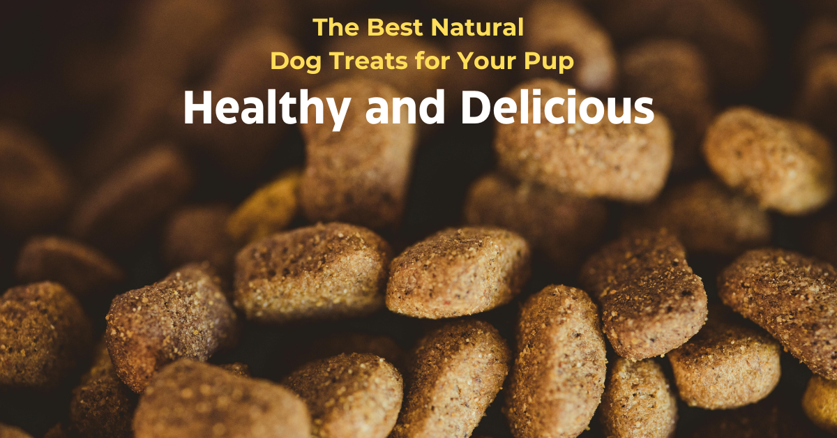 Read more about the article Healthy and Delicious: The Best Natural Dog Treats for Your Pup