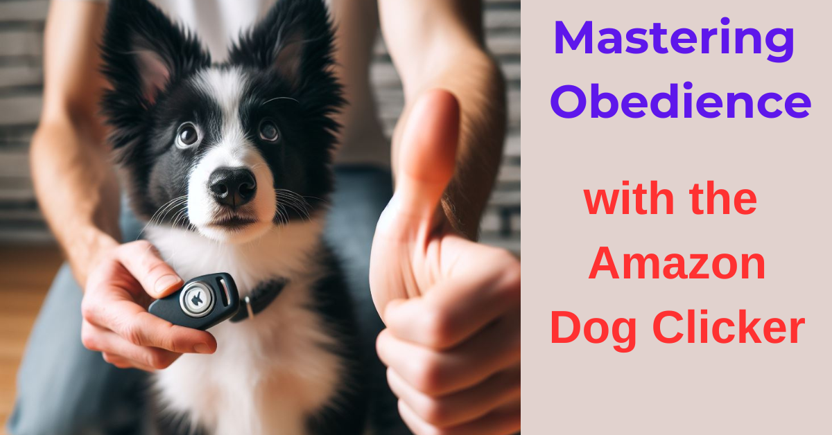 Read more about the article Mastering Obedience with the Amazon Dog Clicker