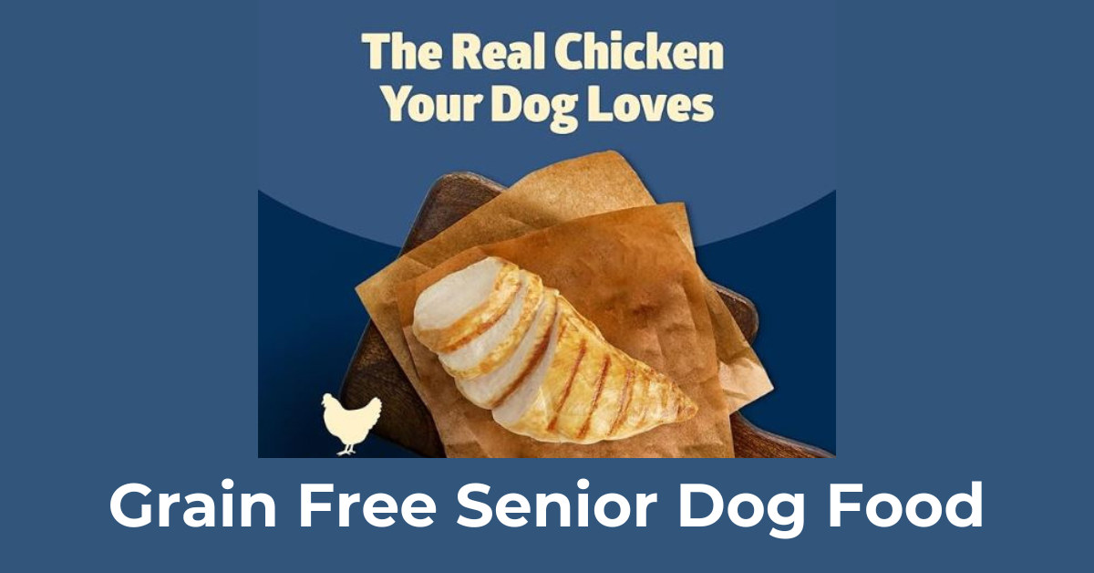 Read more about the article Top Grain Free Senior Dog Food with Chicken