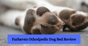 Read more about the article Furhaven Othodpedic Dog Bed Review