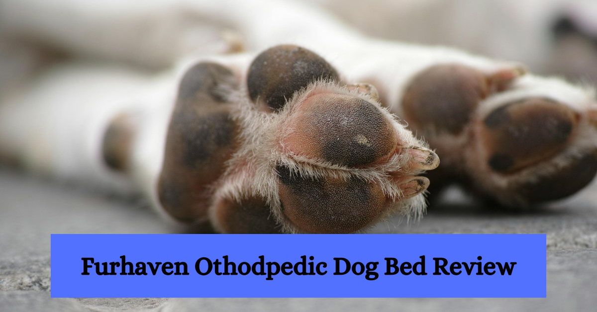 Furhaven orthopedic dog bed