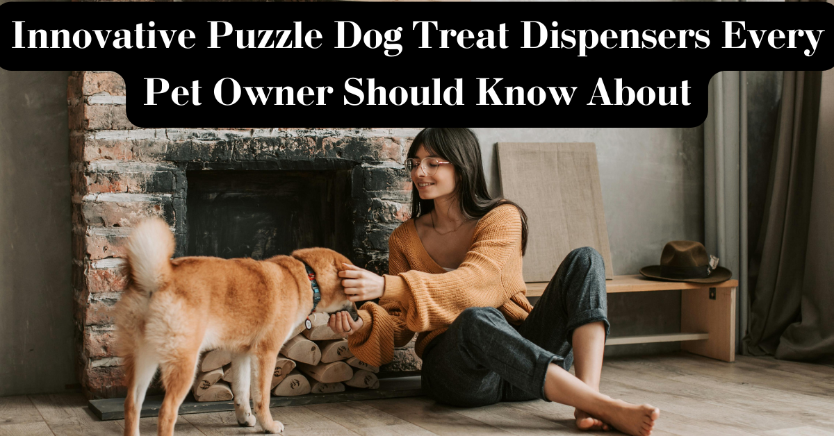Read more about the article Innovative Puzzle Dog Treat Dispenser Every Pet Owner Should Know About